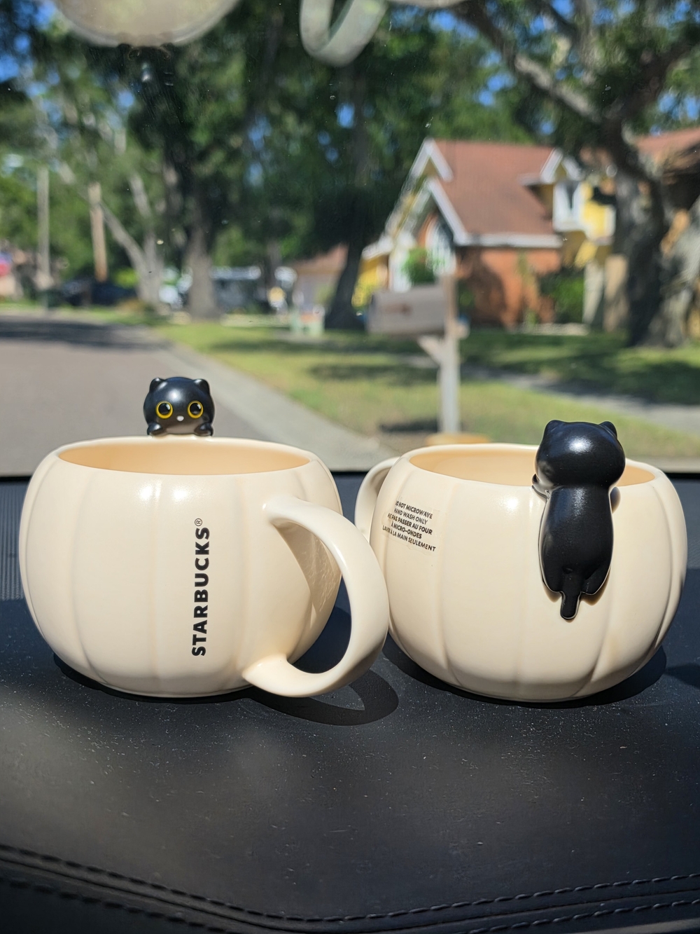 Starbucks 2026 Cat Pumpkin Halloween Mug with Black Cat Accent Set Of 2 NWT